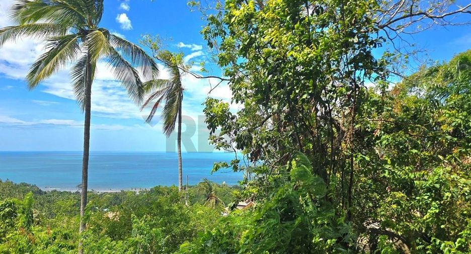 For sale land in Ko Samui, Surat Thani