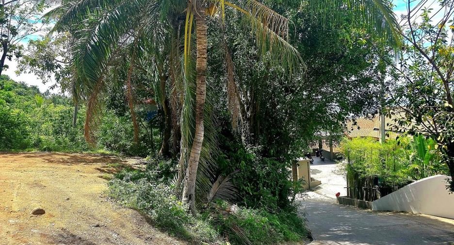 For sale land in Ko Samui, Surat Thani