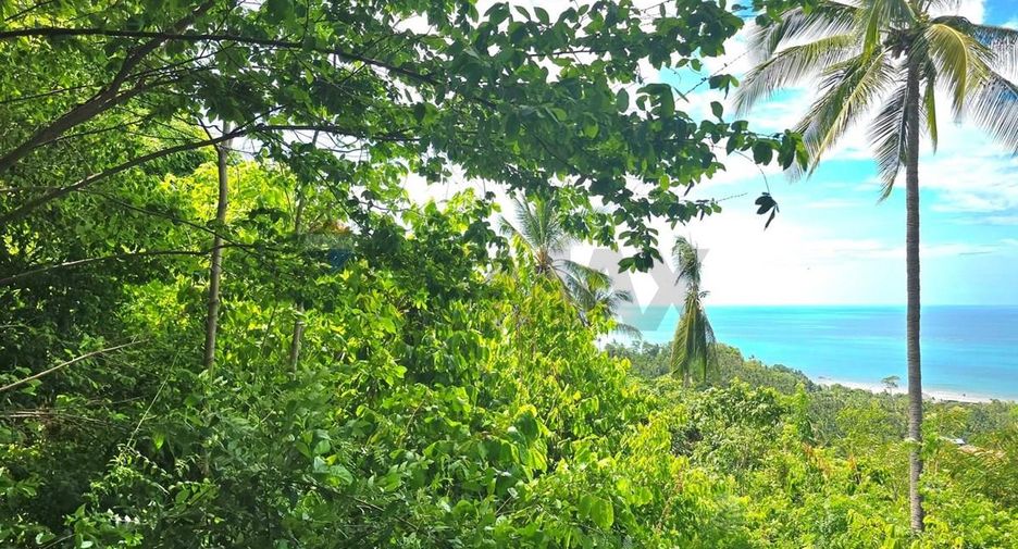 For sale land in Ko Samui, Surat Thani