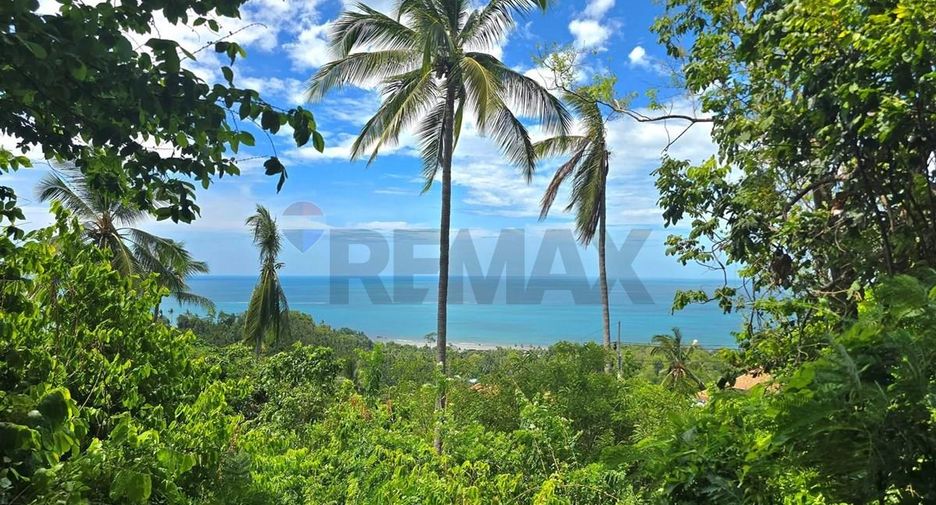 For sale land in Ko Samui, Surat Thani