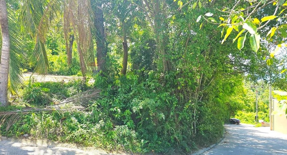 For sale land in Ko Samui, Surat Thani