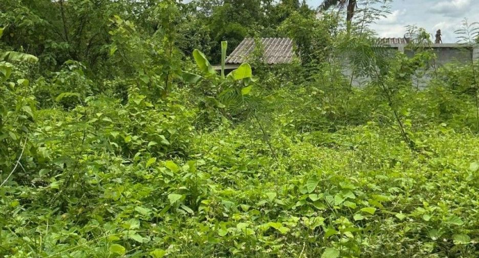 Продажа Участок в Mueang Uttaradit, Уттарадит