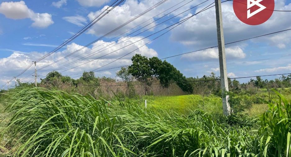 出售 土地 在 Pak Thong Chai, Nakhon Ratchasima