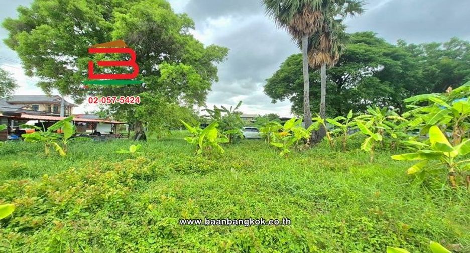Аренда и продажа Участок в Mueang Pathum Thani, Патумтани