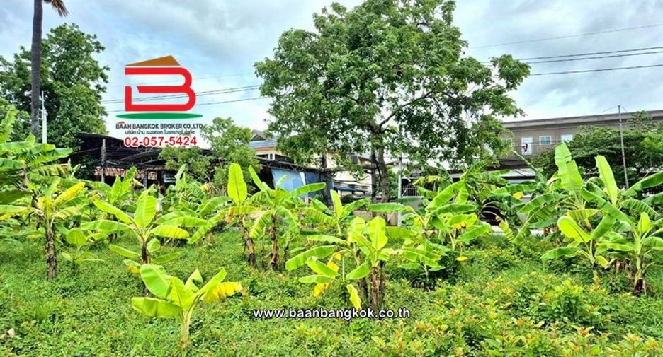 Аренда и продажа Участок в Mueang Pathum Thani, Патумтани