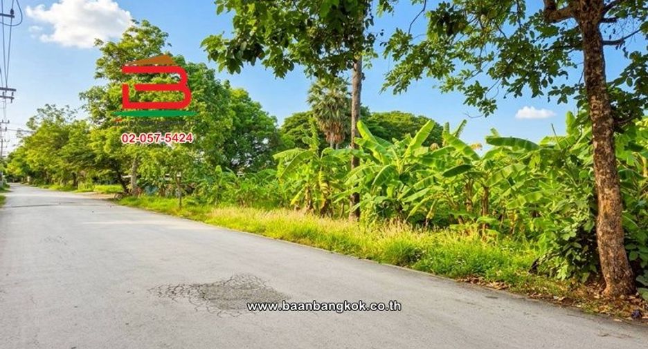 Аренда и продажа Участок в Mueang Pathum Thani, Патумтани