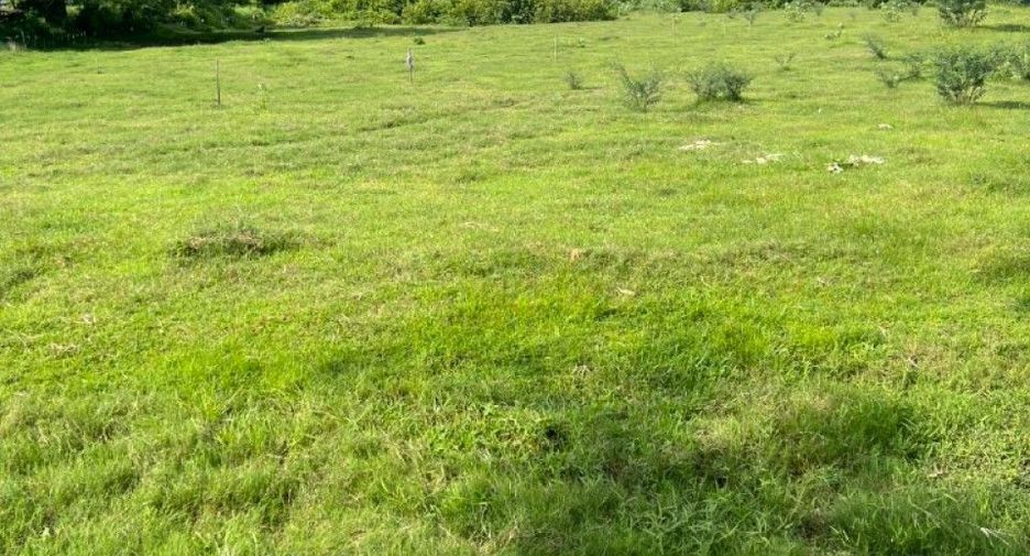 À vendre terrain à Sao Hai, Saraburi