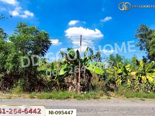 For sale land in Wang Noi, Phra Nakhon Si Ayutthaya