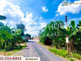 For sale land in Wang Noi, Phra Nakhon Si Ayutthaya