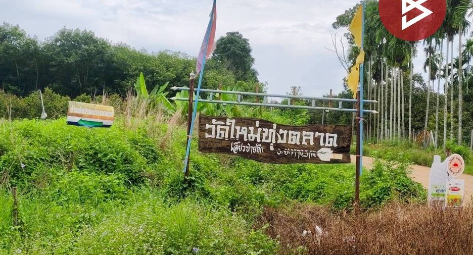 Продажа Участок в Khlung, Чантхабури
