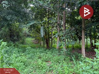 出售 土地 在 Chom Thong, Chiang Mai