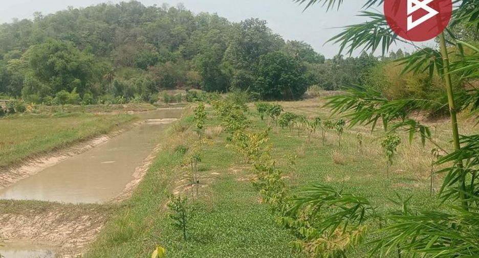 Grundstück zum Kauf in Lat Yao, Nakhon Sawan