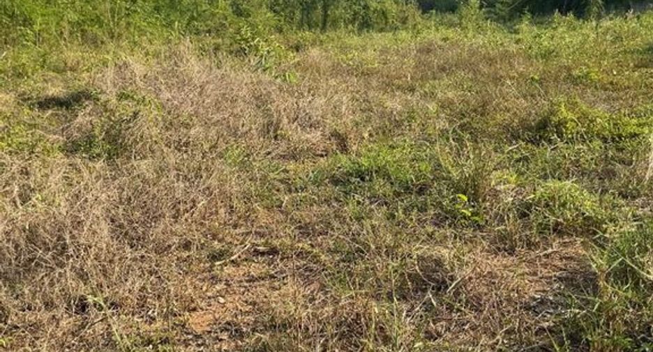 Продажа Участок в Mueang Uttaradit, Уттарадит