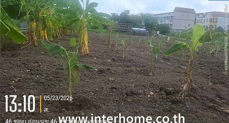 For sale land in Prawet, Bangkok