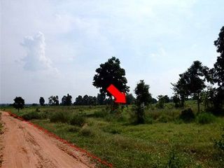出售 土地 在 Nong Bua Daeng, Chaiyaphum