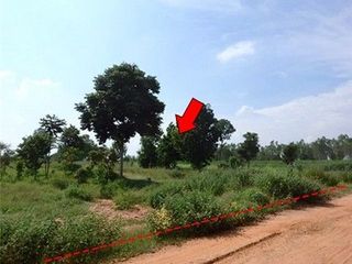 出售 土地 在 Nong Bua Daeng, Chaiyaphum