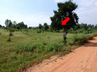 出售 土地 在 Nong Bua Daeng, Chaiyaphum