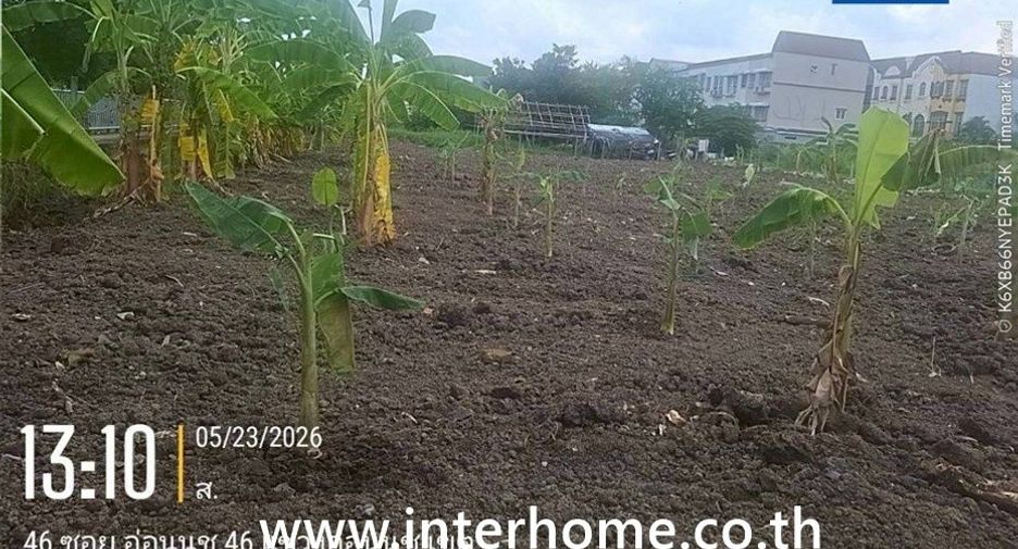 For sale land in Prawet, Bangkok