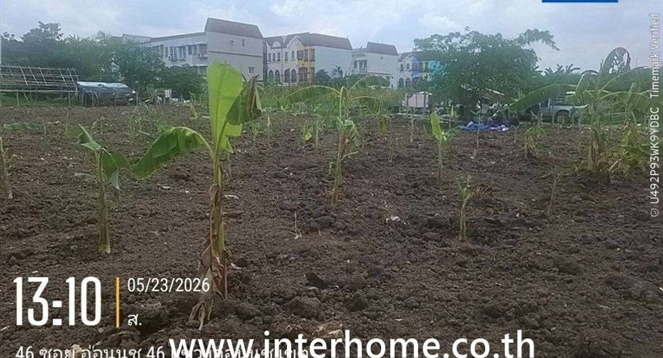 For sale land in Prawet, Bangkok