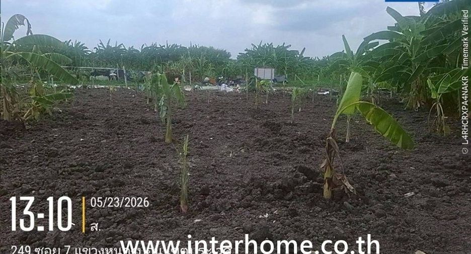 For sale land in Prawet, Bangkok