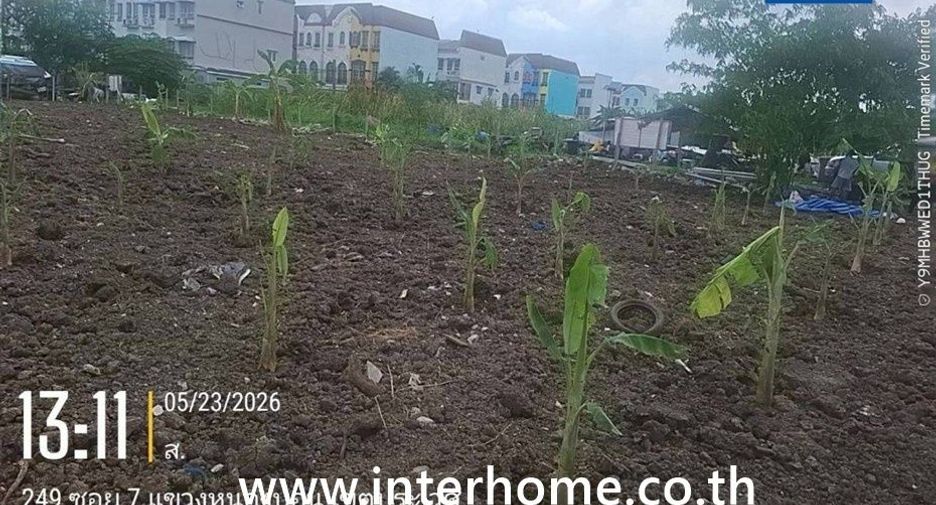 For sale land in Prawet, Bangkok