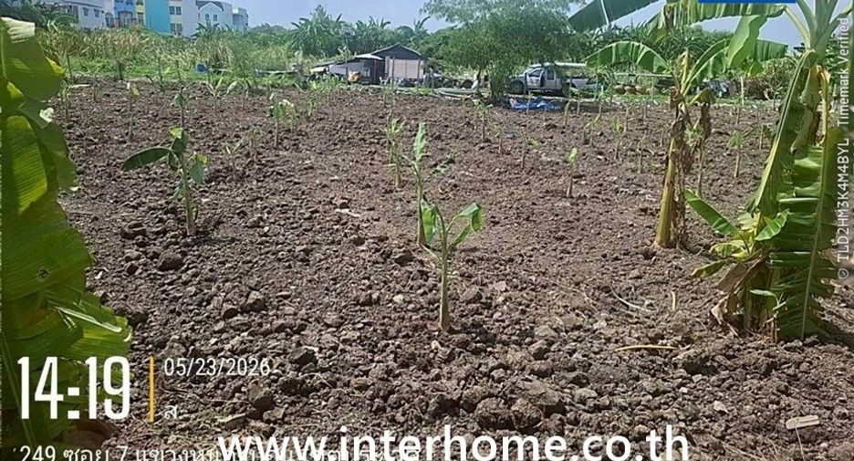 For sale land in Prawet, Bangkok