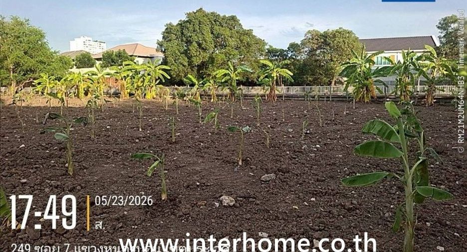 For sale land in Prawet, Bangkok