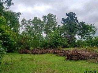 出售 土地 在 Mueang Buri Ram, Buri Ram