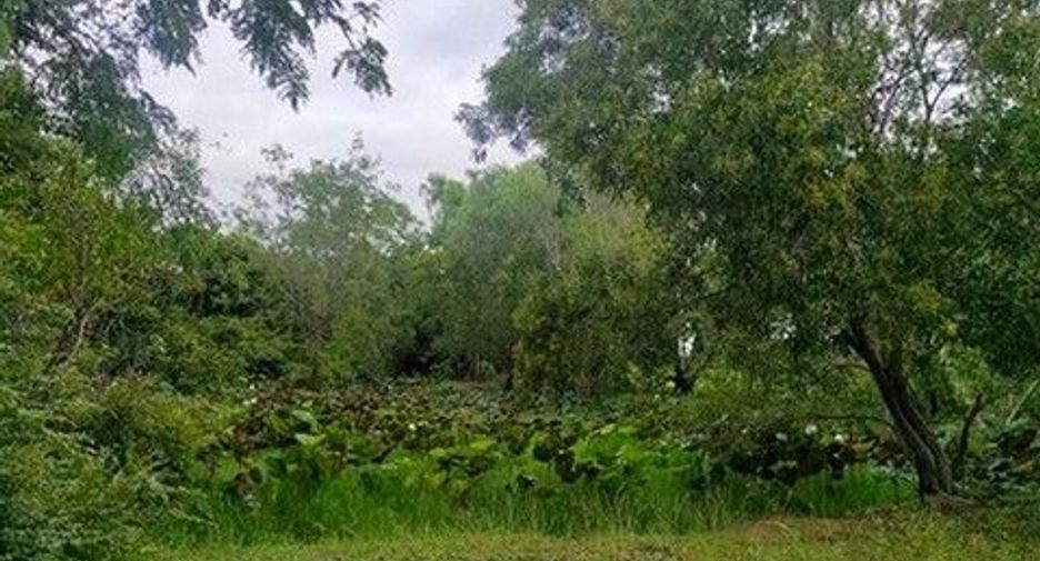 Продажа Участок в Mueang Buriram, Buri Ram
