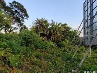 出售 土地 在 Mueang Buri Ram, Buri Ram