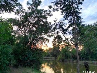 出售 土地 在 Mueang Buri Ram, Buri Ram