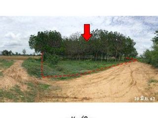 出售 土地 在 Mueang Buri Ram, Buri Ram