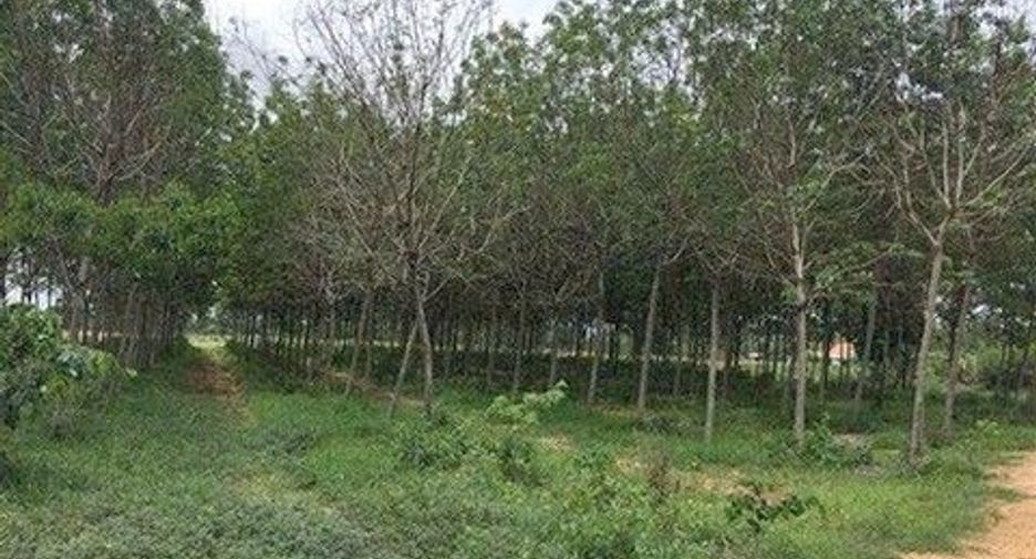 Продажа Участок в Mueang Buriram, Buri Ram