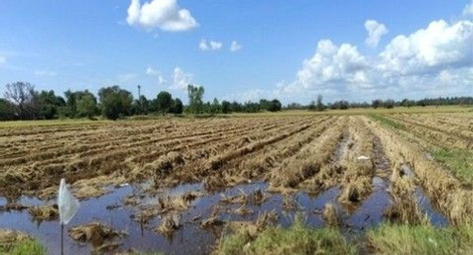 Продажа Участок в Mueang Buriram, Buri Ram