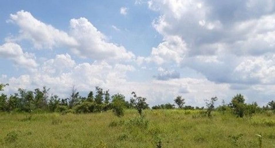 Продажа Участок в Nong Bua Daeng, Chaiyaphum