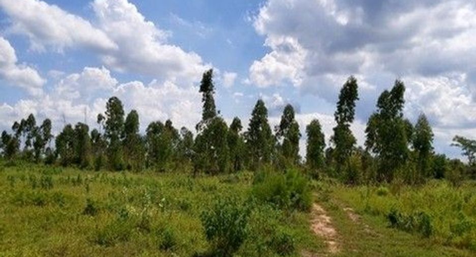 Продажа Участок в Nong Bua Daeng, Chaiyaphum