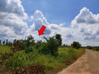 出售 土地 在 Nong Bua Daeng, Chaiyaphum