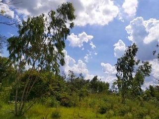 出售 土地 在 Nong Bua Daeng, Chaiyaphum
