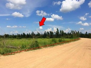 出售 土地 在 Nong Bua Daeng, Chaiyaphum