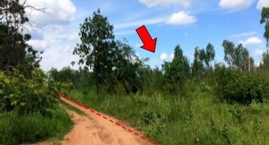 Продажа Участок в Nong Bua Daeng, Chaiyaphum