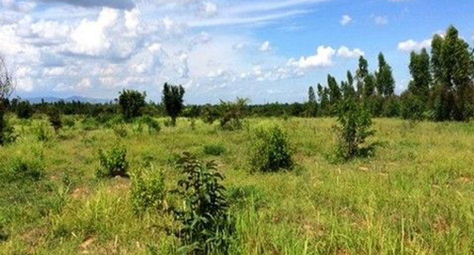 Продажа Участок в Nong Bua Daeng, Chaiyaphum
