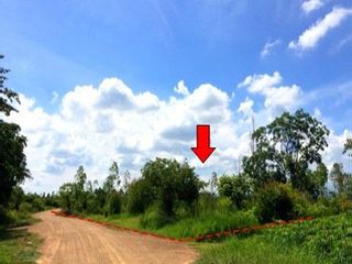 出售 土地 在 Nong Bua Daeng, Chaiyaphum