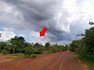 出售 土地 在 Nong Bua Daeng, Chaiyaphum