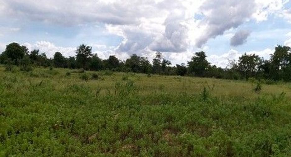 Продажа Участок в Nong Bua Daeng, Chaiyaphum