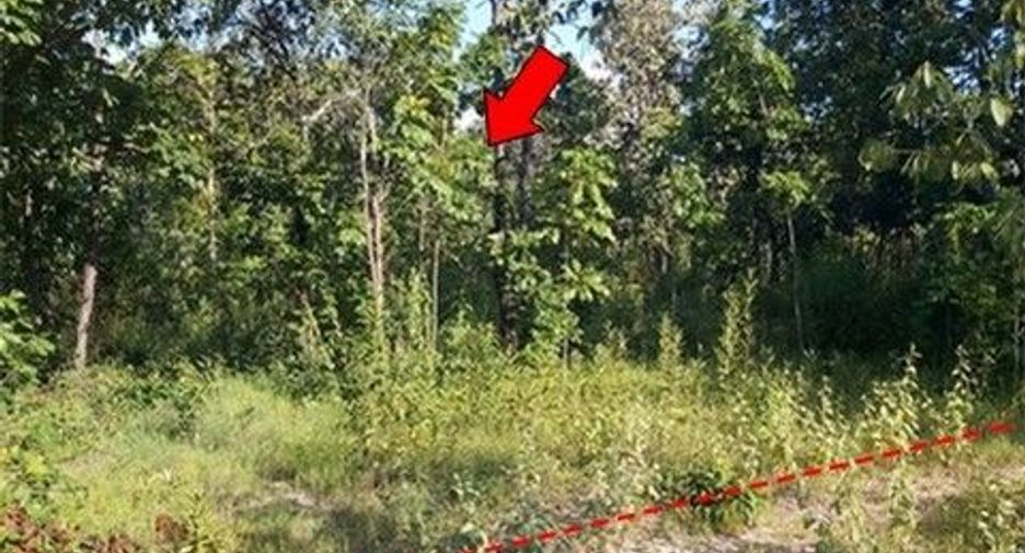Продажа Участок в Nong Bua Daeng, Chaiyaphum