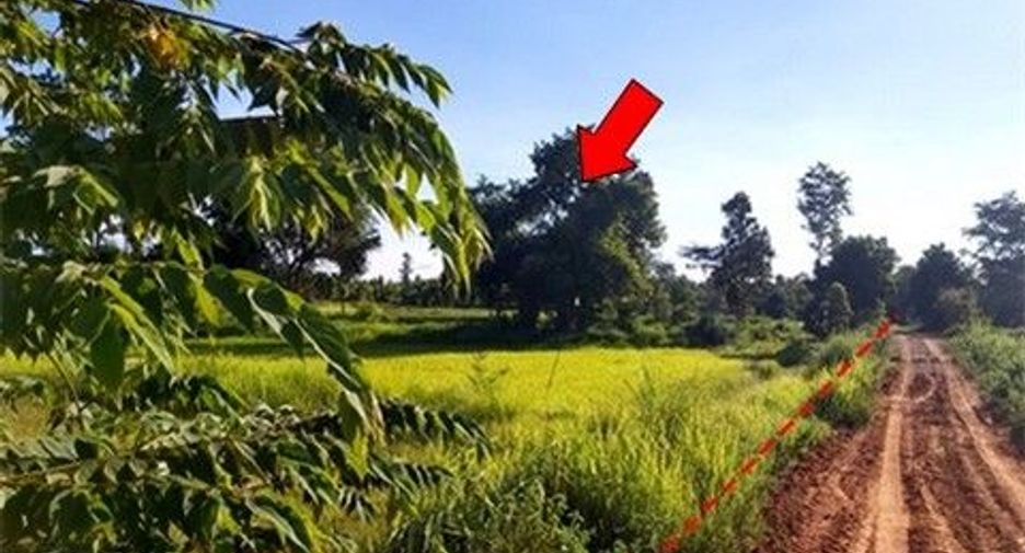 Продажа Участок в Nong Bua Daeng, Chaiyaphum