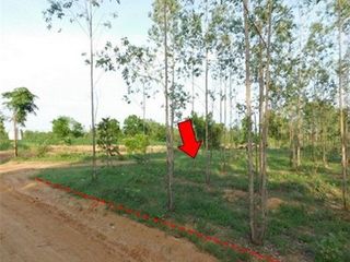 出售 土地 在 Nong Bua Daeng, Chaiyaphum