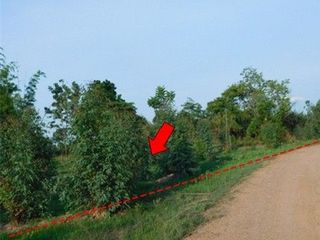 出售 土地 在 Nong Bua Daeng, Chaiyaphum