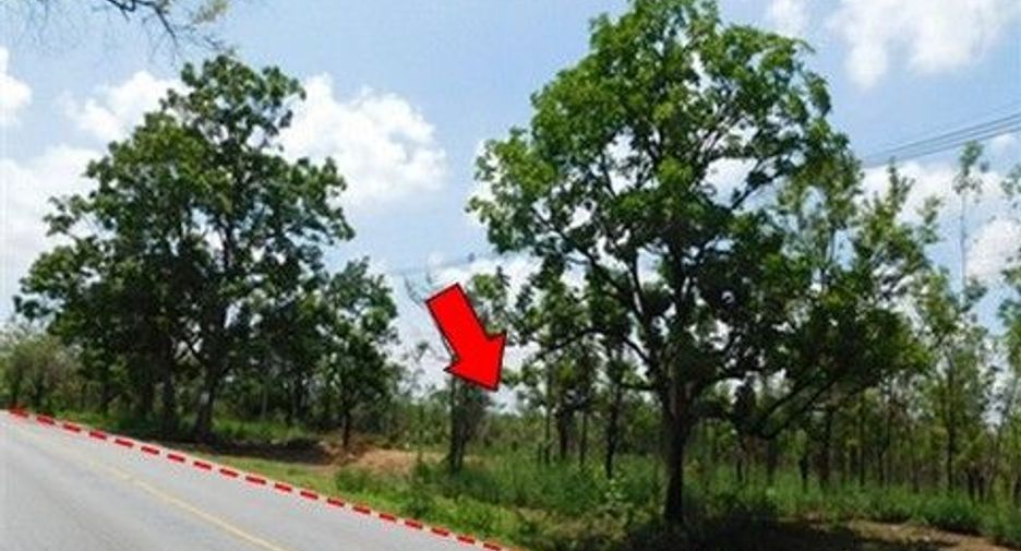 Продажа Участок в Nong Bua Daeng, Chaiyaphum