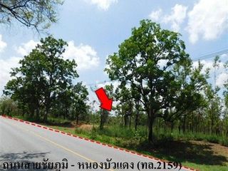 出售 土地 在 Nong Bua Daeng, Chaiyaphum